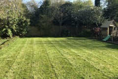 Garden-2-scaled